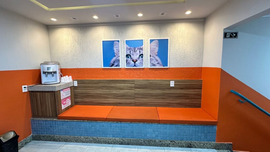 WhatsApp Image 2026-02-03 at 08.33.08